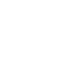 Spirng IATF 16949 Icon