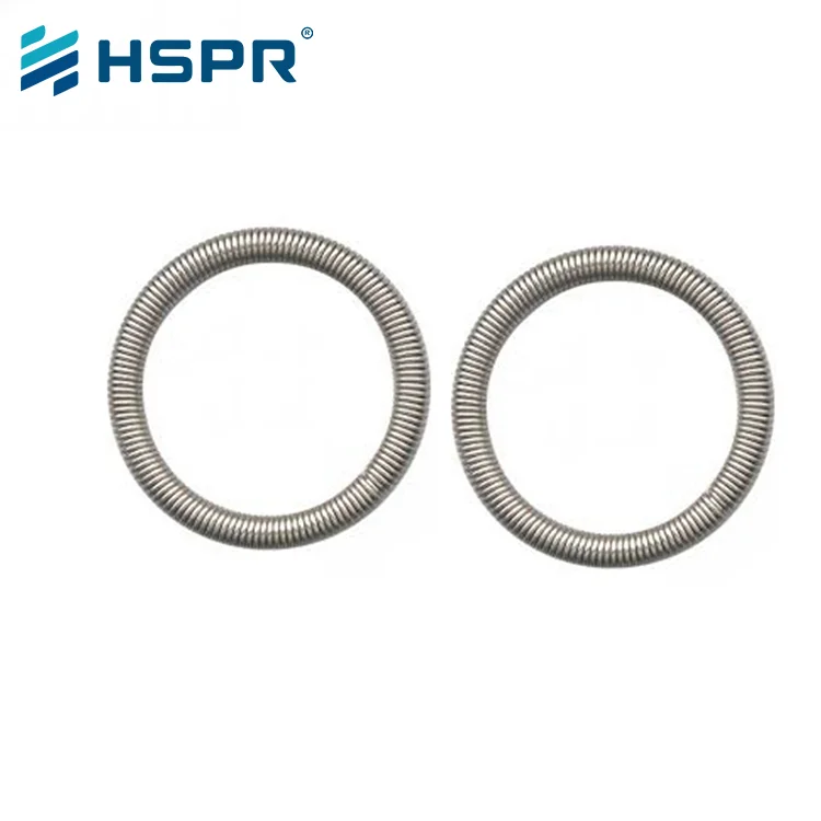 custom oil seal spring custom oil seal spring