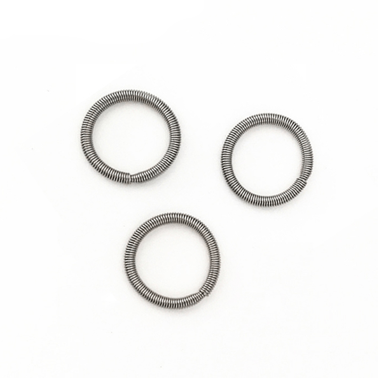 oil seal springs 1