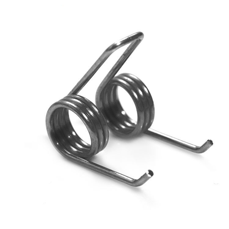 Double torsion spring