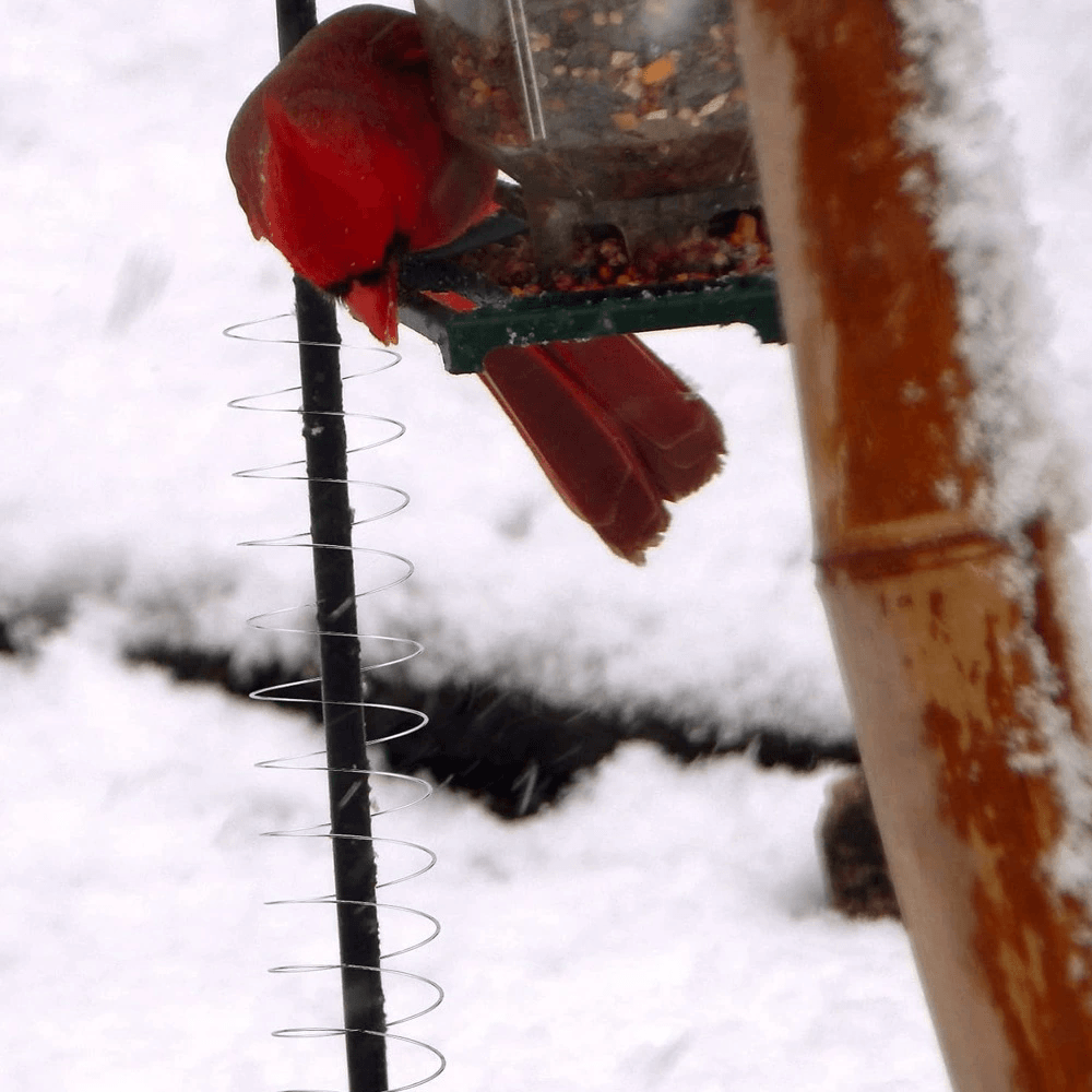 Anti squirrel spring supplier