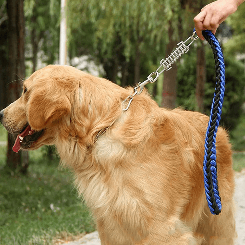 Traction rope springs for sale