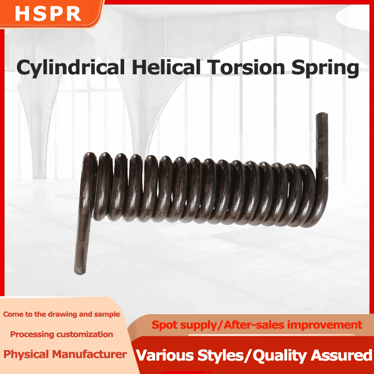 Cylindrical Helical Torsion Spring manufacturer