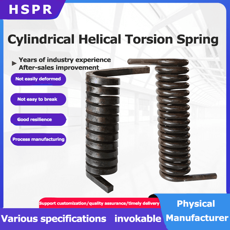 Cylindrical Helical Torsion Spring supplier