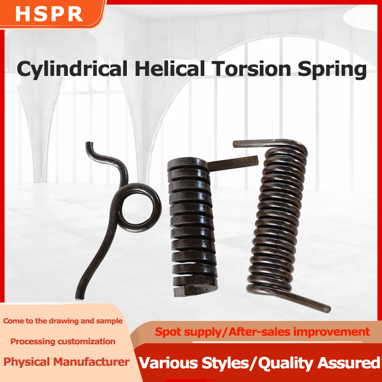 Cylindrical Helical Torsion Springs manufacturer