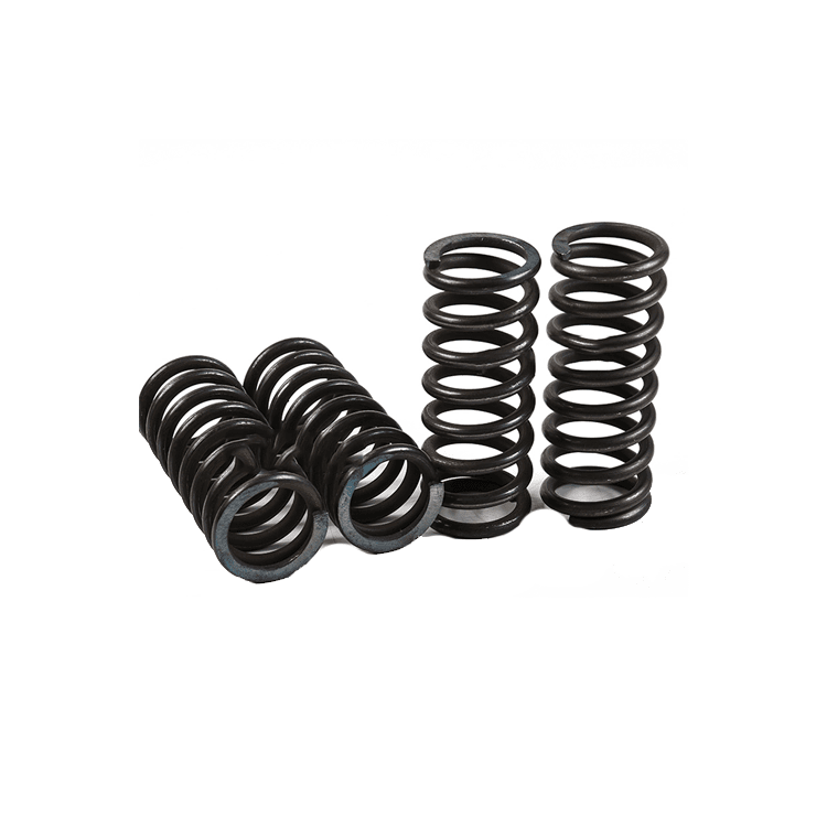 oil seal valve springs