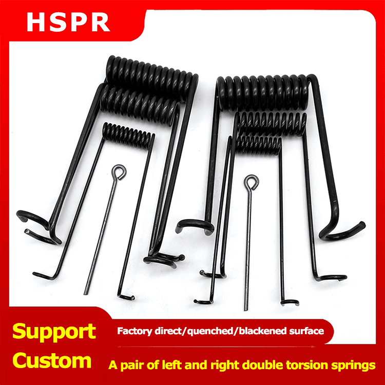 Double torsion spring