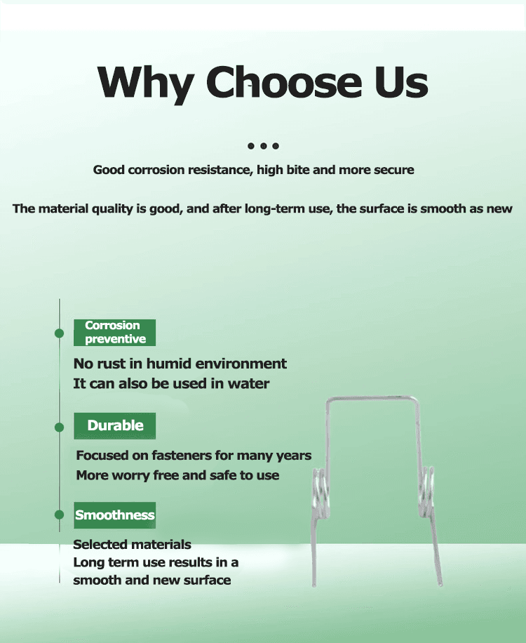 Double Torsion Springs Commonly Used in Kettles 1