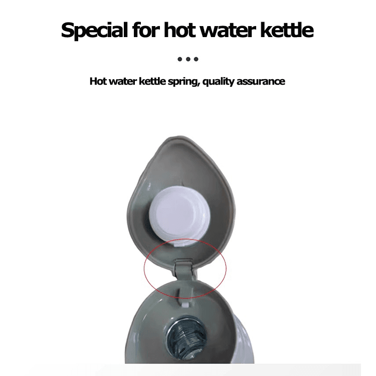 factory of Double Torsion Spring Commonly Used in Kettles